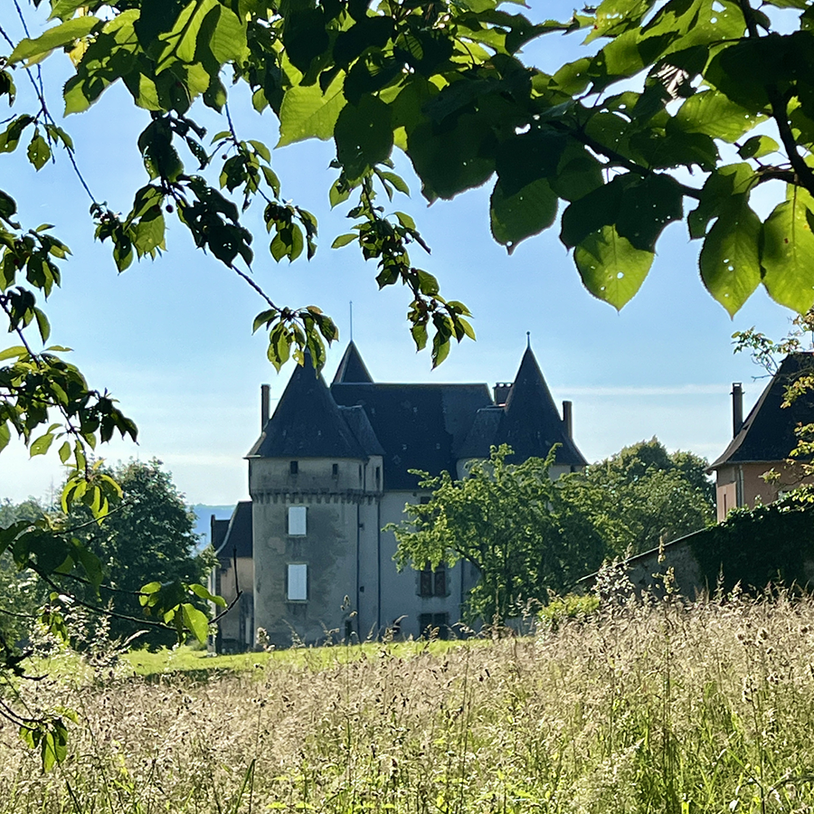 Chateau de Chabrignac