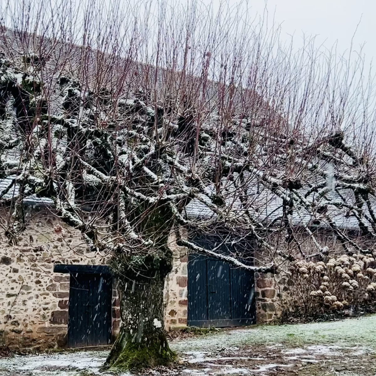 Winter_Chabrignac