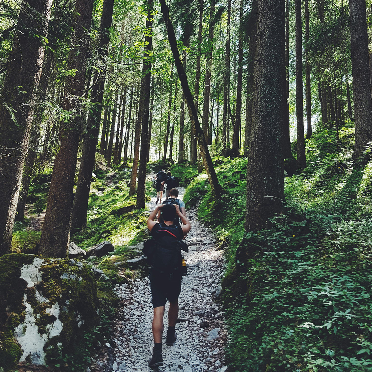 forest_hike_chabrignac